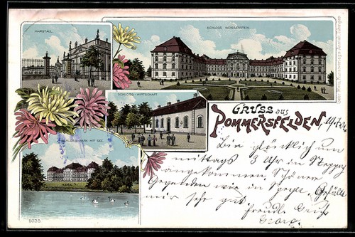 Litografia pomerania parco - litografia,