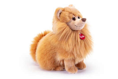 Pomerania biscuit regalo - pomerania,