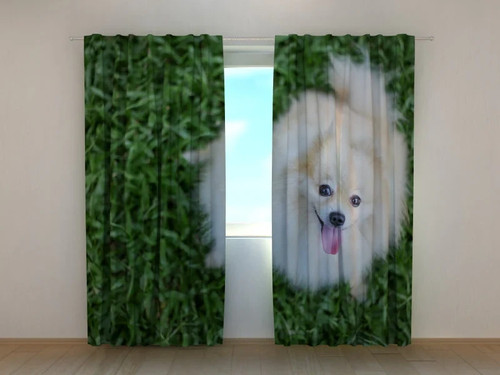 Tende pomerania felice - tende,