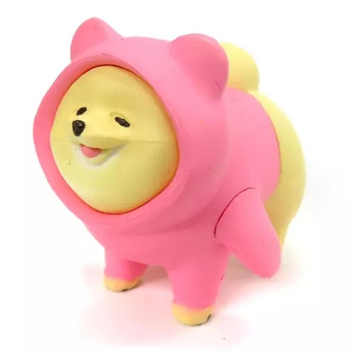 Attrazione animale pomerania - animale,