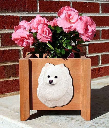 Vaso per fiori - fiori, pomerania
