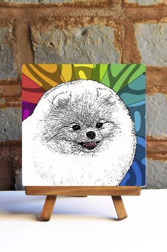 Pomerania ceramica - pomerania,